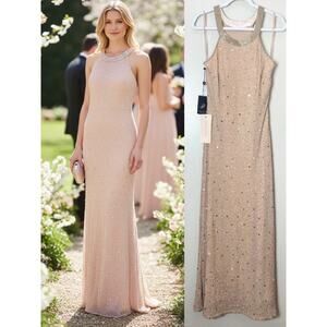 NWT ADRIANNA PAPELL DRESS GOWN TAUPE PINK SEQUIN BEADED WEDDING FORMAL EVENING